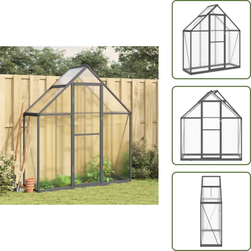 Gewächshaus mit Fundamentrahmen Anthrazit 169x58x195 cm Alu - Gewächshaus - Polycarbonat Gewächshaus - Gartenhaus - Aluminium Gewächshaus - Greenhouse
