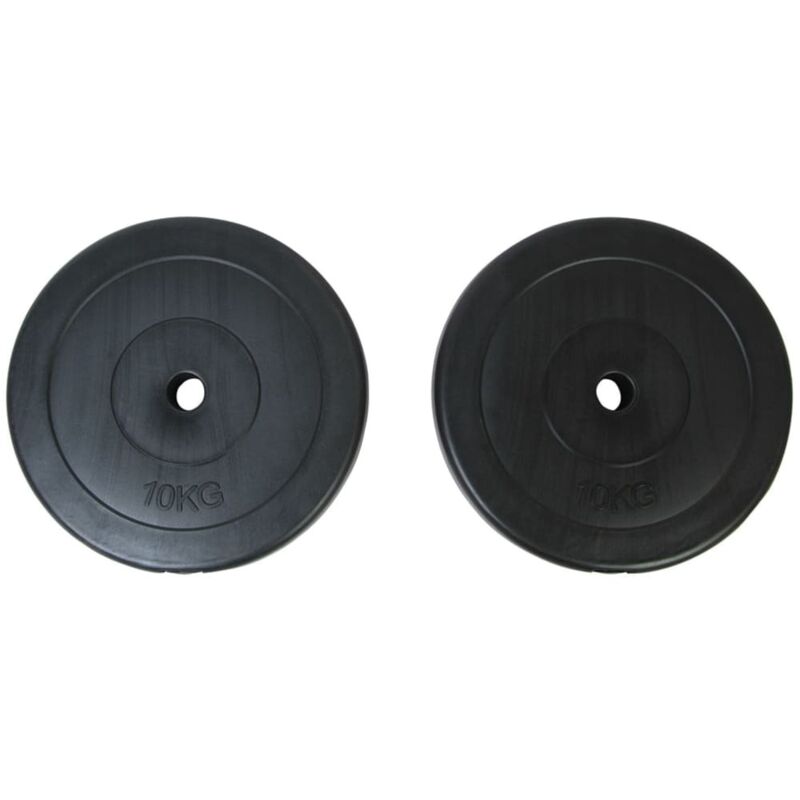 Gewichte 2 Hantelscheiben 10kg Vidaxl