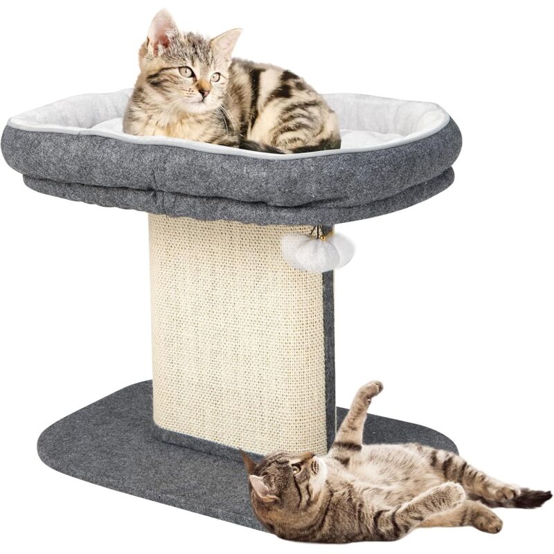 50cm Kratzbaum für Hauskatzen, Katzenbaum mit Sitzplattform, Sisal-Kratzplatte und klimperndem Fellknaeuel, Moderne Katzenmoebel, lustiges