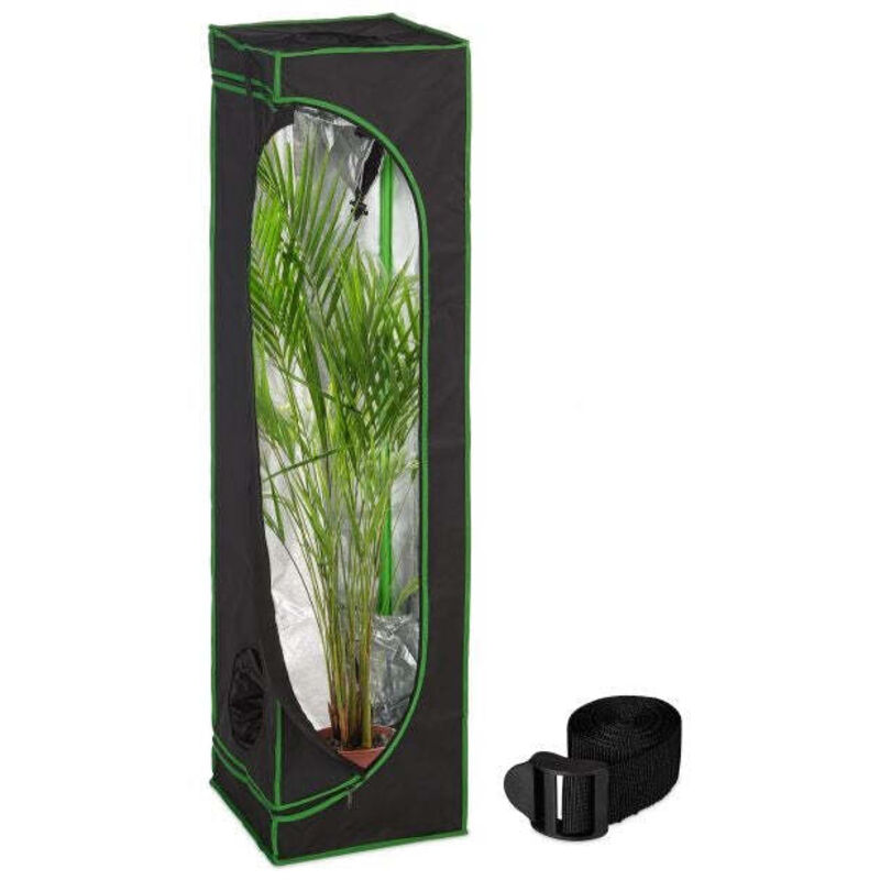 Growbox drinnen anbauen 88306