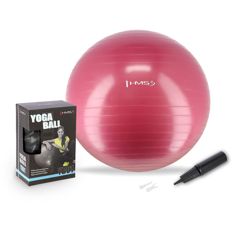 Yb01 Neu 65cm Pflaumen-Gymnastikball Hms