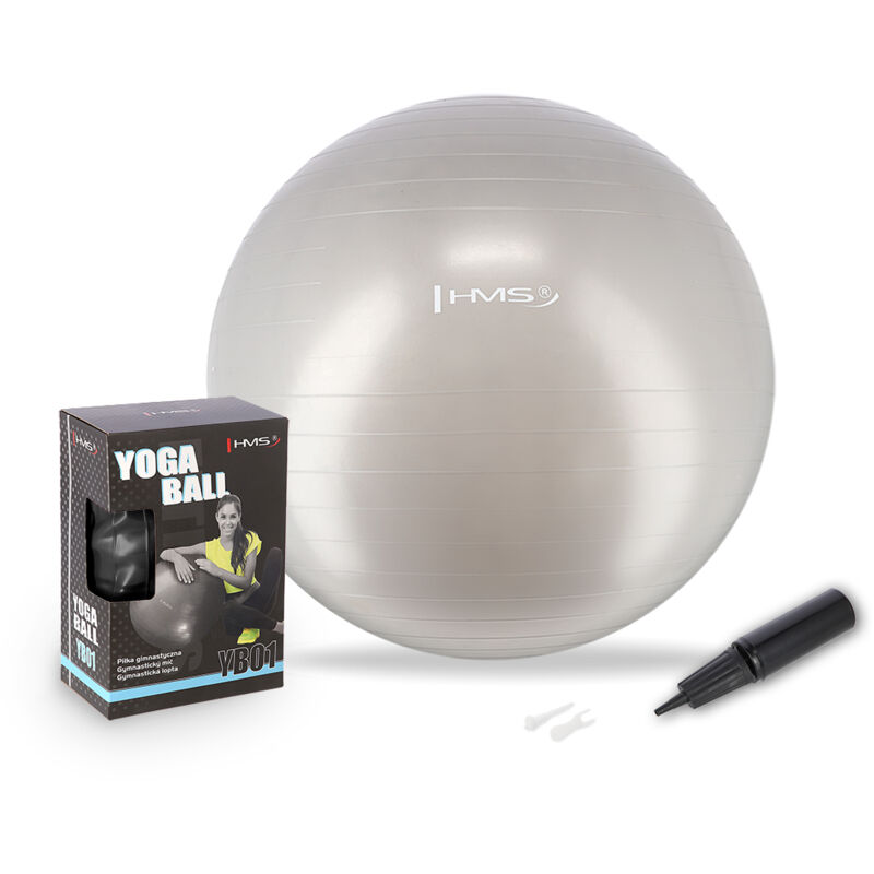 Yb01 Neu 65cm Grau Gymnastikball Hms