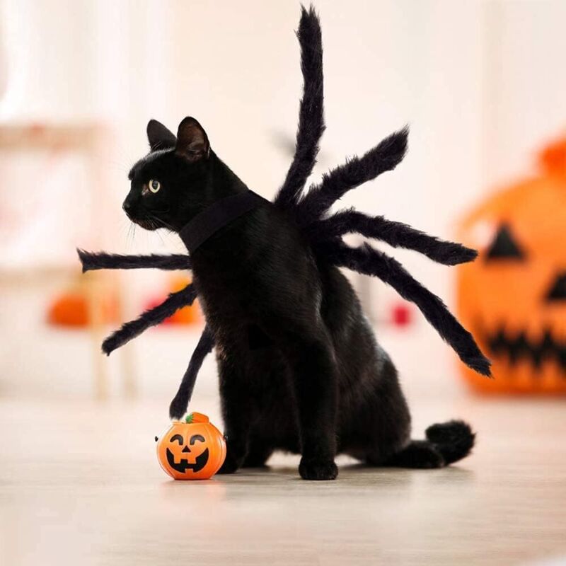 Halloween-Spinnenkostüm für Hunde und Katzen, Haustier-Halloweenkostüm, Halloween-Dekoration, verstellbare Spinnen-Cosplay-Kostüme für kleine und