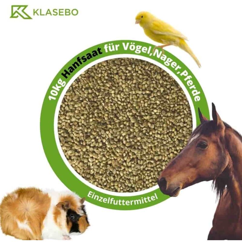 Hanfsaat 10kg für Vögel, Nager und Pferde