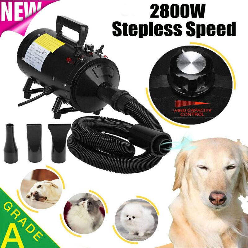 Dayplus - Haustier Haartrockner 4 in 1 mit 4 Düsen und ausziehbarer Schlauch Pelz Blaster