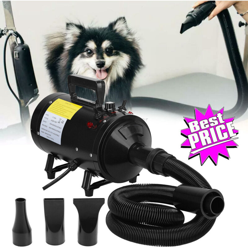 Dayplus - Haustier Haartrockner Hundefön Hundetrockner Trockner Haare Dryer Tragbarer Hair