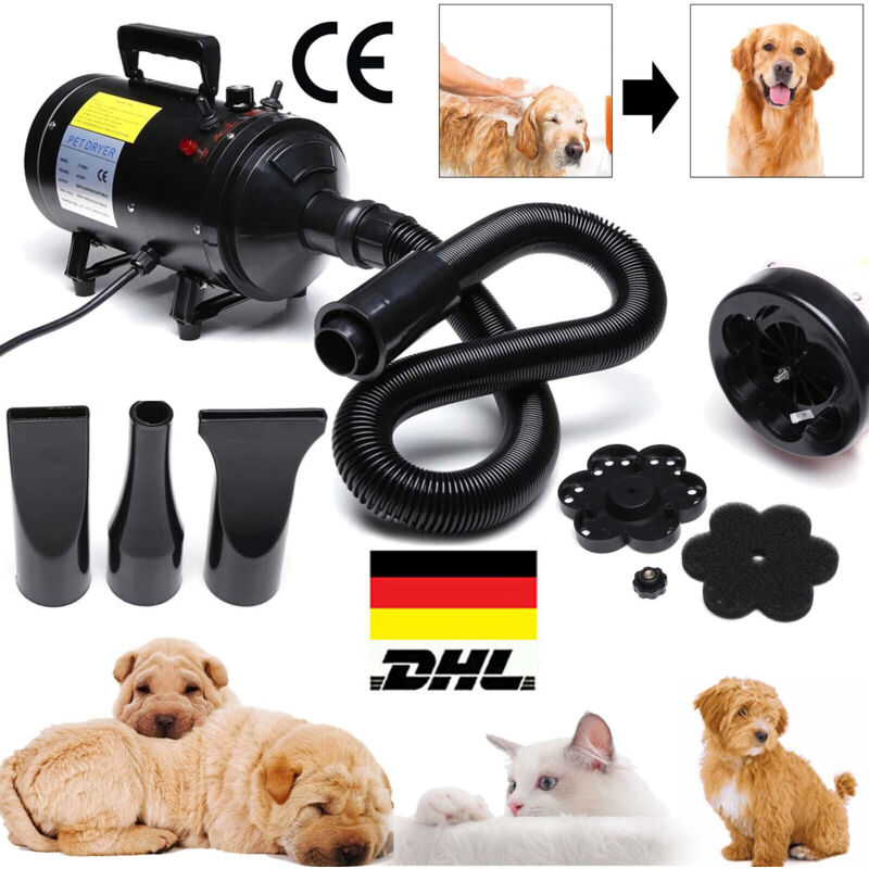 Dayplus - Haustierfön 4 in1 Haartrockner/Bürste für Hunde Katzen und andere Haustier 2800w