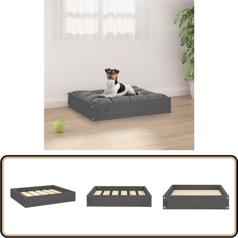 Hundebett Grau 51,5x44x9 cm Massivholz Kiefer - Hunde Bett - Hundehaus - Holzbett Für Hund - Kiefernholz Hundebett - Hundematte