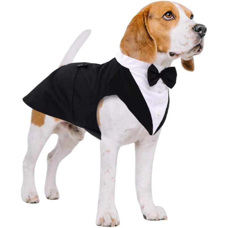 Hundekostüm, Smoking-Hochzeitskleid, Halstuch, Fliege, Hemd, Zeremonie, großer bis mittelgroßer Hund