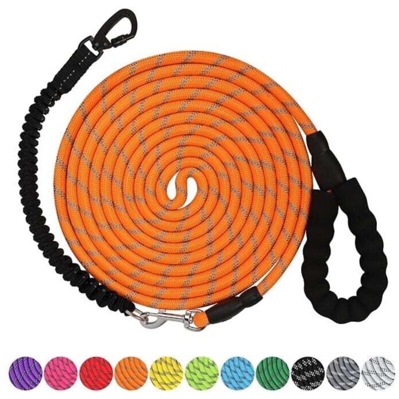 Hundeleine, 10 m lange, robuste Leine mit feststellbarem Drehhaken und reflektierenden Fäden, Bungee-Hundeleine, bequemer, gepolsterter Griff zum