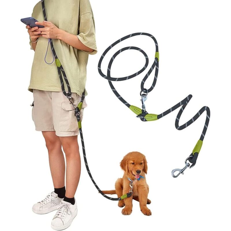 Jalleria - Hundeleine für große/mittelgroße/kleine Hunde. Freihändige Leine zum Laufen, Spazierengehen und Trainieren. Strapazierfähiges Nylon. 2,5 m