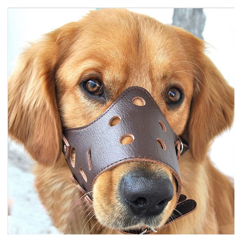 Hundemaulkorb aus Leder, Anti-Bell-Maulkorb, geeignet für große, kleine und mittelgroße Hunde, XL (35–60 kg)