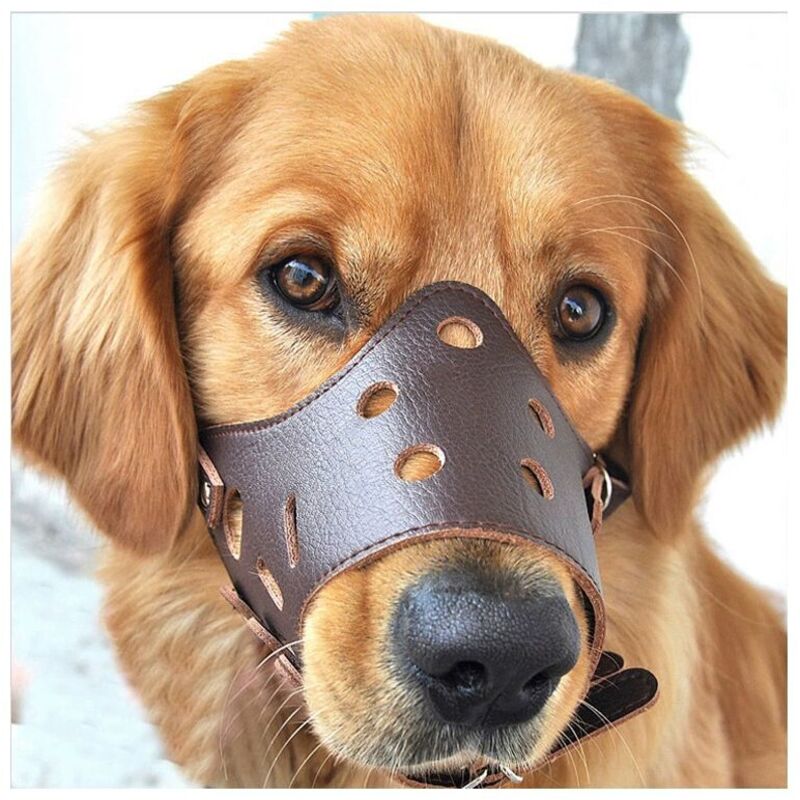 Odipie - Hundemaulkorb aus Leder, Anti-Bell-Maulkorb, geeignet für große, kleine und mittelgroße Hunde, l (25—35 kg)