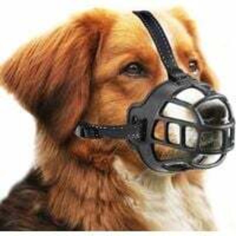 Hundemaulkorb, Maulkorb, Korbmaulkorb für kleine, mittlere und große Hunde mit verstellbaren Riemen (Größe 3, Schwarz)