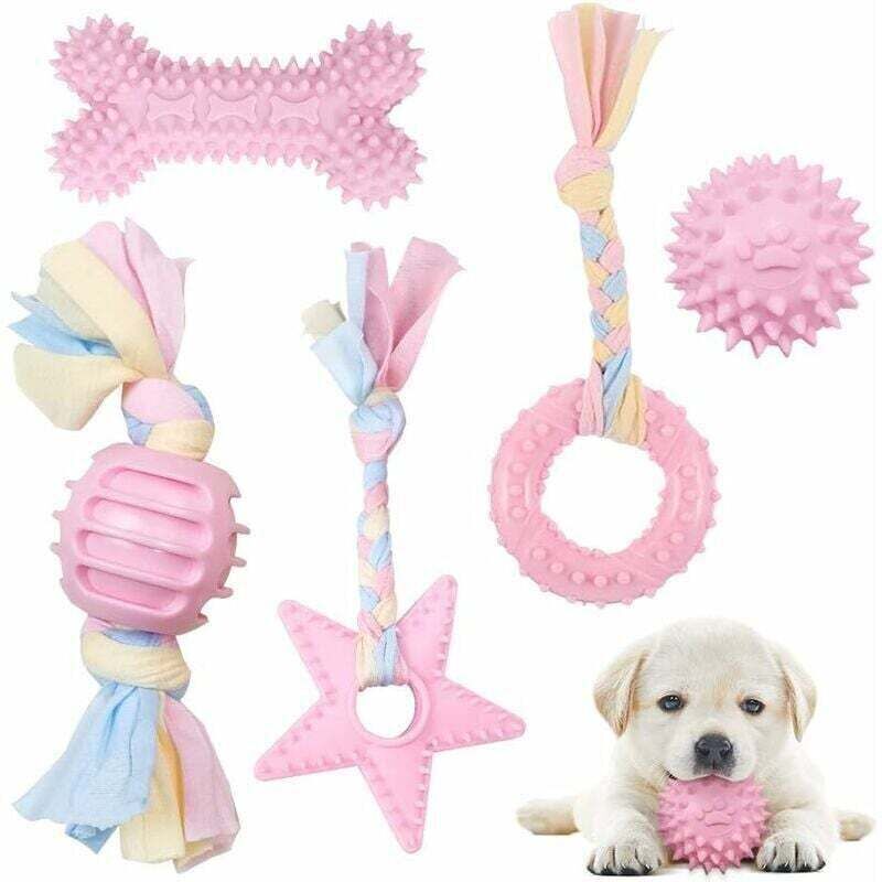 Hundespielzeug-Set mit Seil und Ball, 5-teilig, unzerstörbares Hundespielzeug für Welpen/kleine/mittelgroße Hunde, förderlich für die Zahngesundheit
