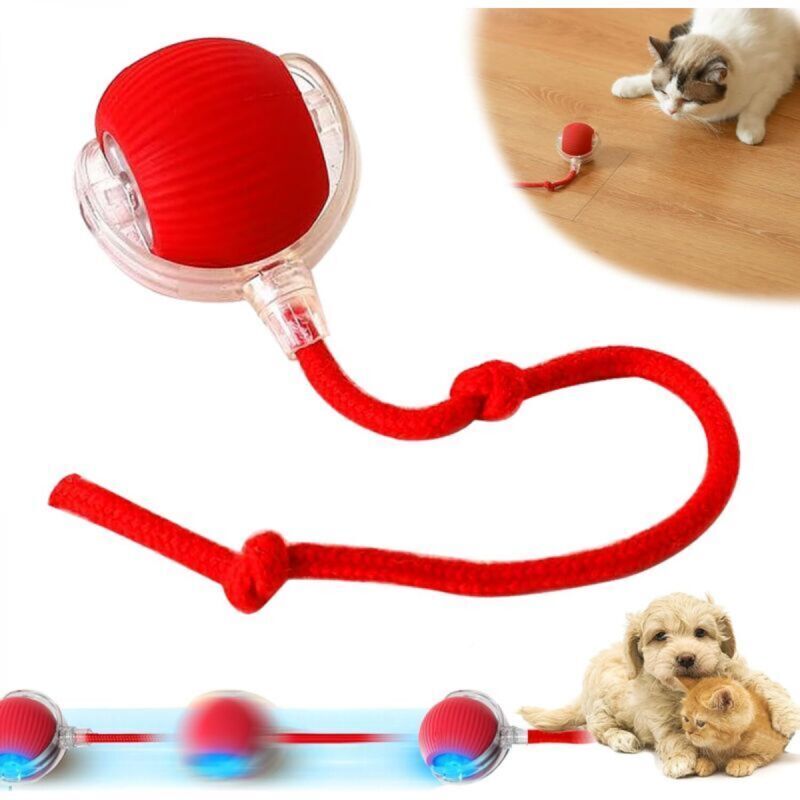 Interaktiver Rollball für Hunde, bewegungsaktiviert, Rollball für Katzen und Hunde, intelligenter viraler Ball für große und kleine Hunde (Rot)