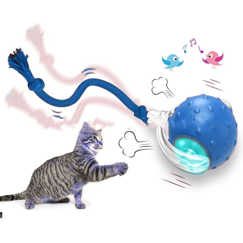 Tigrezy - Interaktives Katzenspielzeug, Ball für Hauskatzen, rollt schnell auf dem Teppich, zwitschert und aktiviert Bewegung, Katzenspielzeug (blau)