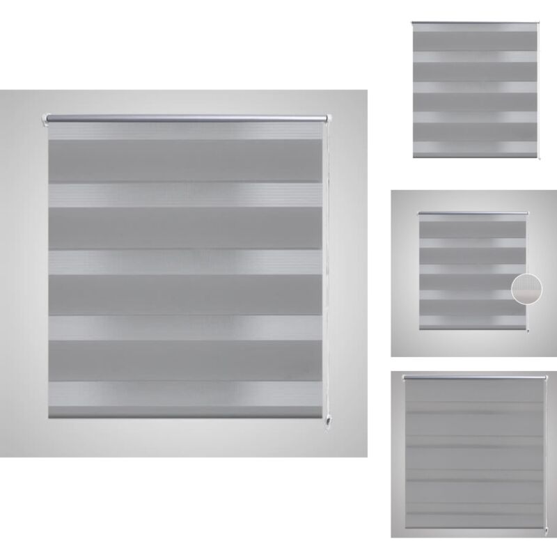 Jalousien & Rollos - Doppelrollo Seitenzug 100 x 175 cm grau - Grau