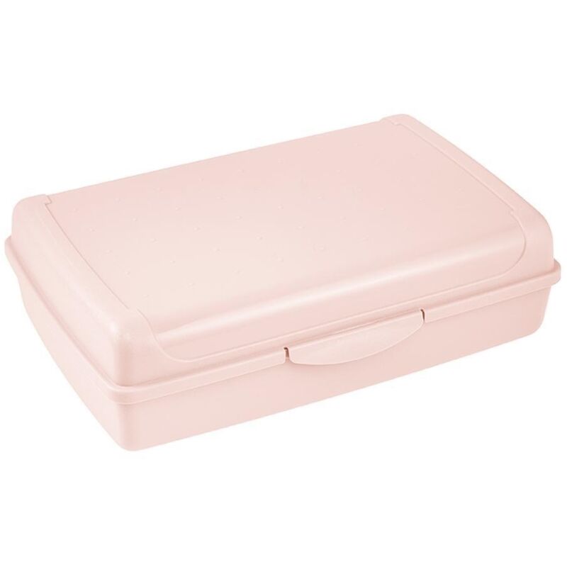 Keeeper Kühlbox Mit Klickverschluss, 30 X 20 X 8,5 Cm, 3,75 L, Luca Maxi, Nordic Grau 1069558100000