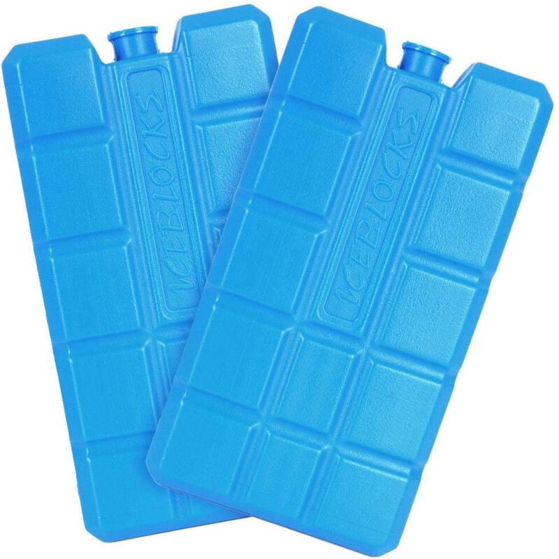 EHS - Packung mit 2 Kältespeichern für tragbare Kühlschränke, 400 cl, 16 x 9,5 x 6,5 cm, verschiedene Farben