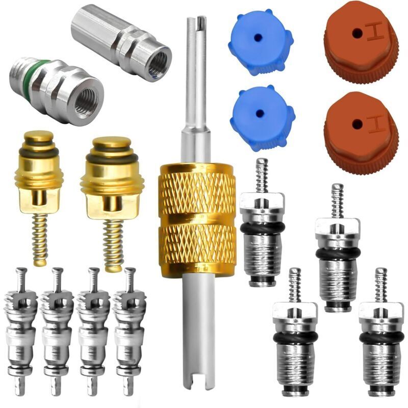 Klimaanlagen-Ventilkern-Set, inklusive R12- und R134a-Klimaanlagen-Kältesystem, Klimaanlagen-Ventilkern, Serviceanschluss-Verschlusskappe und