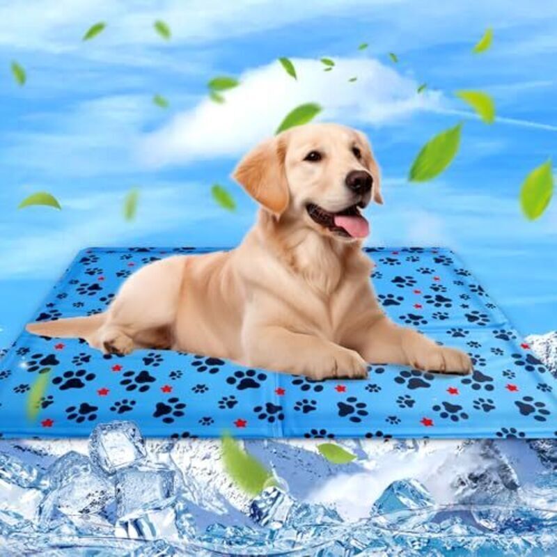 Kühlmatte für Hunde und Katzen, Kühlkissen für Hunde, wasserdicht und leicht zu reinigen, geeignet für kleine und große Hunde, 60 × 50 cm