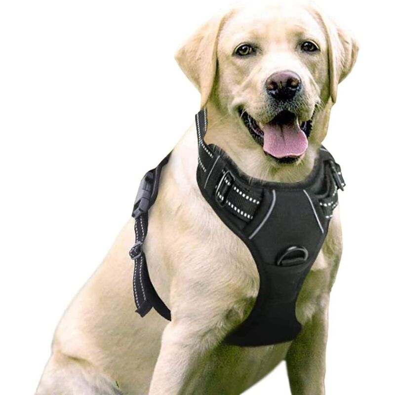 Lablanc - No Pull Hundegeschirr, leicht anzulegendes, verstellbares, reflektierendes Hundegeschirr mit Frontclip, mittelgroßes und großes