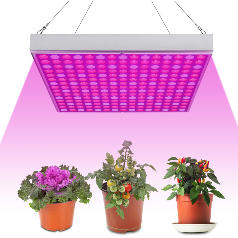 LED Pflanzenlampe Winter 15w Pflanzenlicht Led Grow Lampe mit Rot Blau Licht fur Pflanzen Wachstum im Gewächshaus
