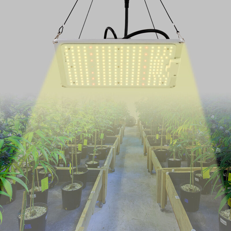 LED Wachstumslicht Indoor Grow Lampe für Flower Bloom Pflanzen Grow Zelt 110W