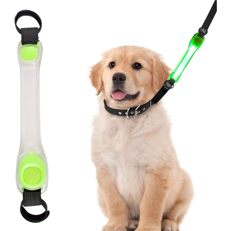 Leuchtendes Hundehalsband, per USB wiederaufladbares LED-Hundehalsband mit Nylon-Klebestreifen, einfach an Hundehalsband, Leine und Geschirr zu
