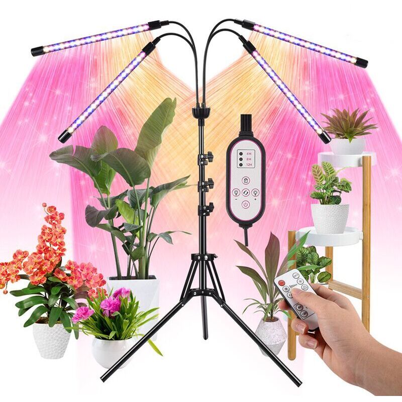 Pflanzenlicht, Wachstumslicht mit Stativ, 80 LEDs Pflanzenlicht Gartenbau Blüte Wachstum 4 Köpfe Vollspektrum Wachstumslicht, mit 10 dimmbaren Stufen