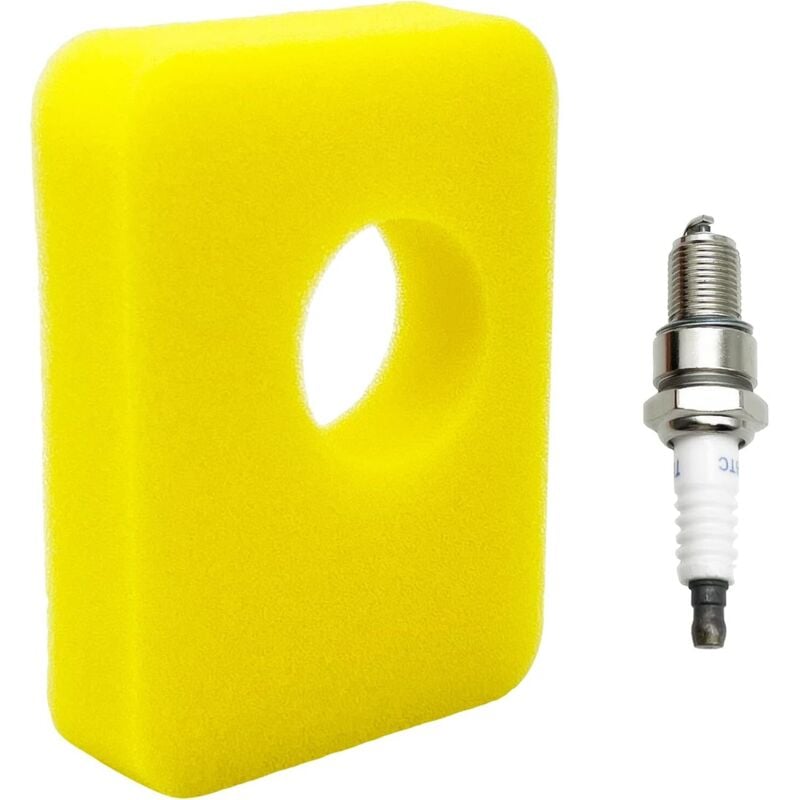 Luftfilter für Rasenmäher, Schaumstoff-Luftfilter, Ersatz-Luftfilter 799579, Rasenmäher-Luftfilter und Zündkerze für Briggs-Stratton-Motor
