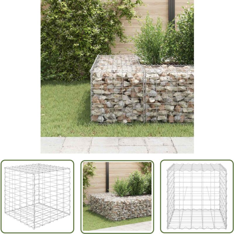 The Living Store Würfel-Gabionen-Hochbeet Stahldraht 50x50x50 cm - Gabionen-Hochbeet - Gartendekoration - Blumenkübel - Stabil - Metallgartenmöbel