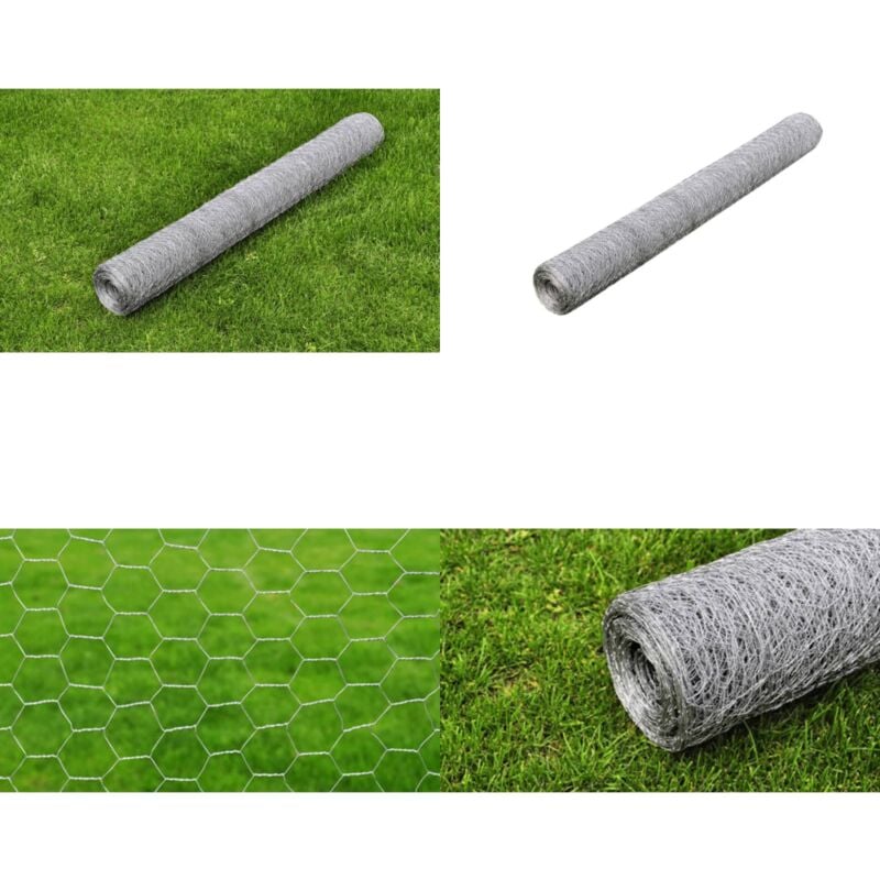 Vidaxl - Maschendraht Verzinkter Stahl 25x0,75 m Silbern - Maschendraht - Stahldraht - Gartenzaun - Tiergehege - Vogelvoliere - Home & Living