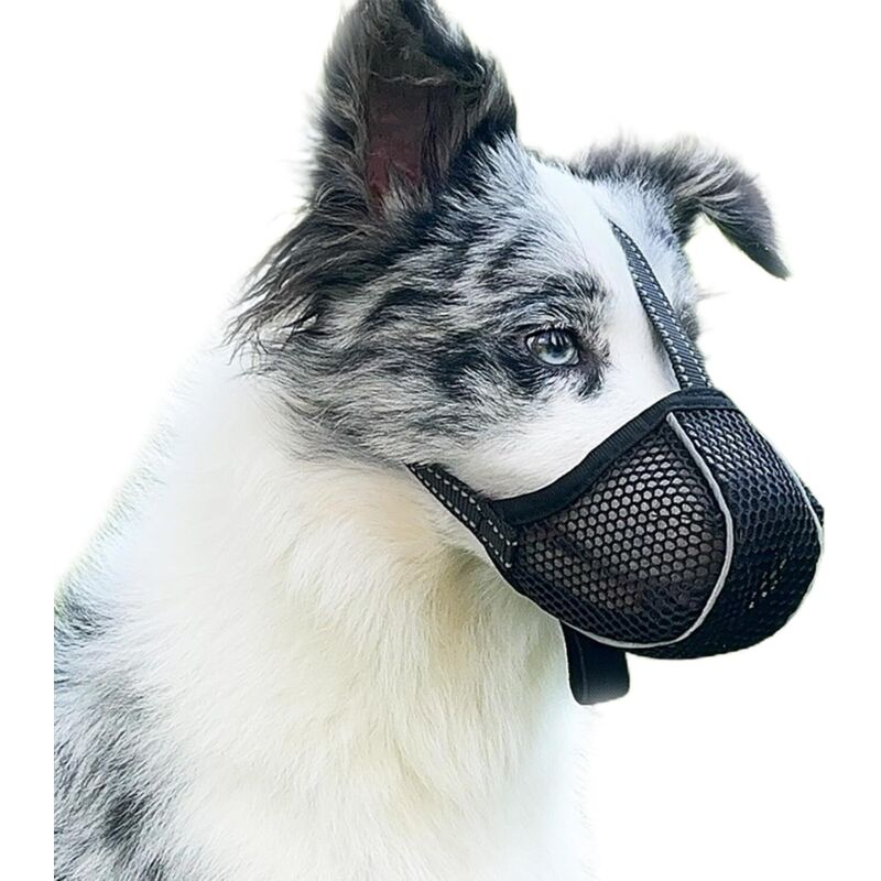 Gabrielle - Maulkorb für Hunde, verhindert Beißen und Zwicken – atmungsaktiv, reflektierend, verstellbare Maulkorbabdeckung – Anti-Biss (Schwarz-L)