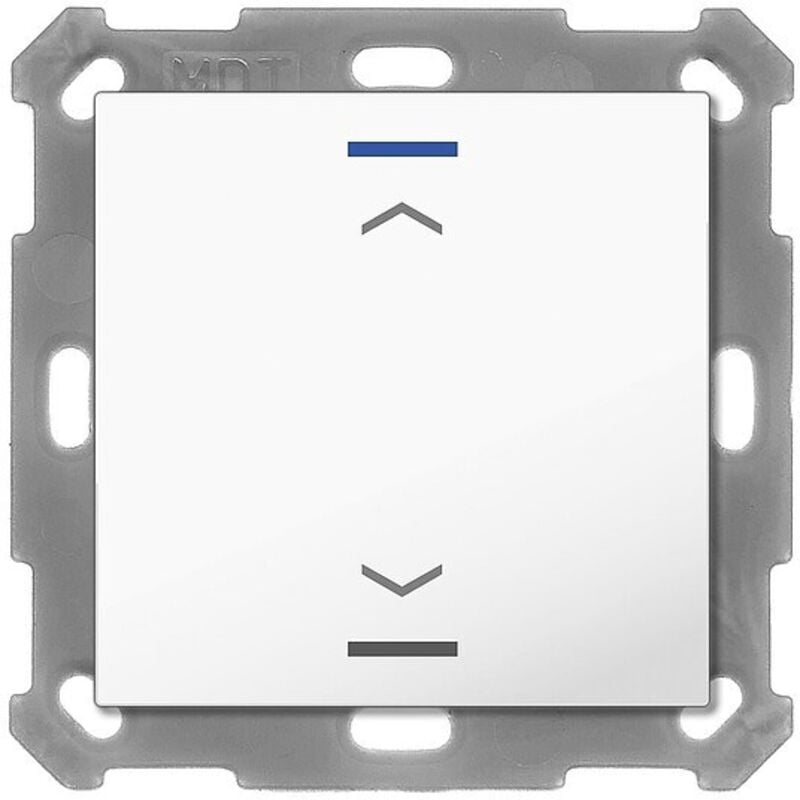 Taster Light 55 ohne Temperatursenor 1-fach, RGBW, Reinweiß glänzend, Jalousie