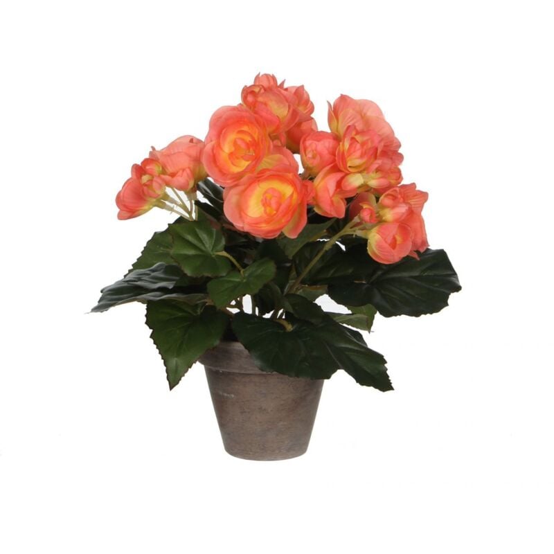 Mica Decorations - Mica Begonia im Topf lachs, 25 x 20 cm Kunstpflanzen