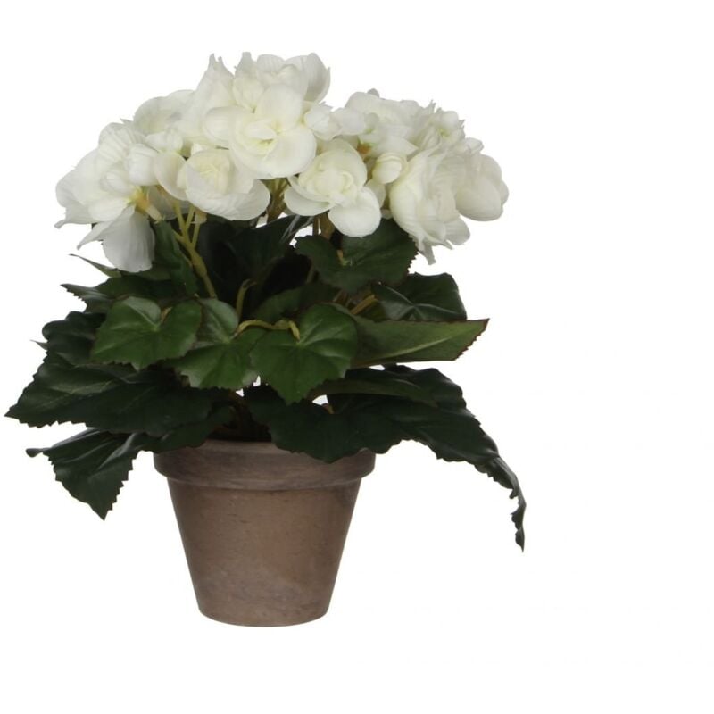 Mica Decorations - Mica Begonia im Topf weiß, 25 x 20 cm Kunstpflanzen