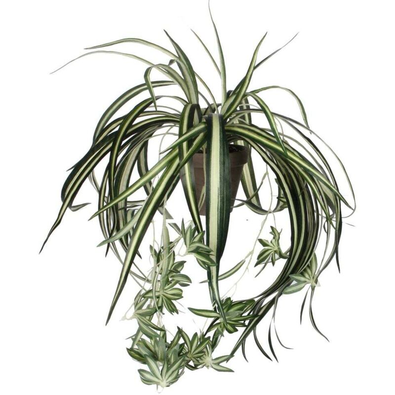 Mica Decorations - Mica Chlorophytum im Topf grün, 45 x 45 cm Kunstpflanzen