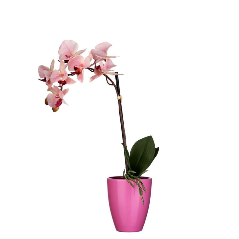 Mica Kunstpflanze Phalaenopsis im Topf rosa, 42 x 20 cm Kunstpflanzen