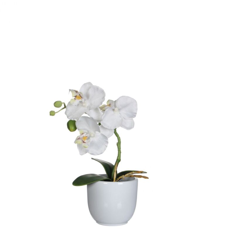 Mica Kunstpflanze Phalaenopsis im Topf weiß, 26 x 12 cm Kunstpflanzen
