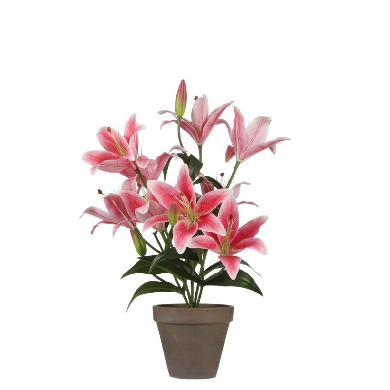 Mica Decorations - Mica Kunstpflanze Tigerlilie fuchsie, 47 x 45 cm Kunstpflanzen