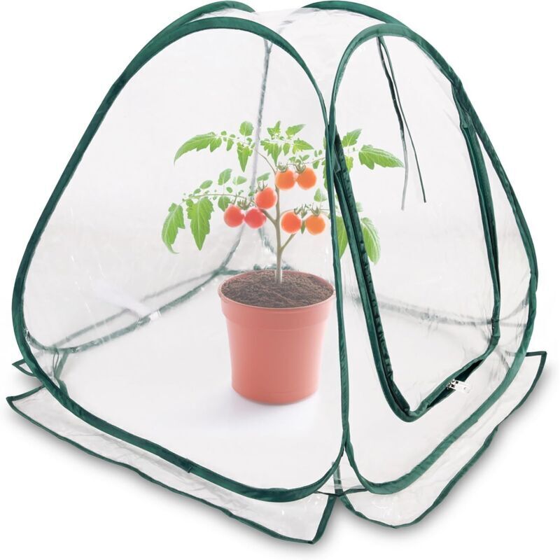 Mini-Pop-up-Gewächshaus 70 x 70 cm – Kleines Gewächshaus für Gemüse, Blumen und Pilze – Transparentes PVC-Winterzelt für Pflanzen