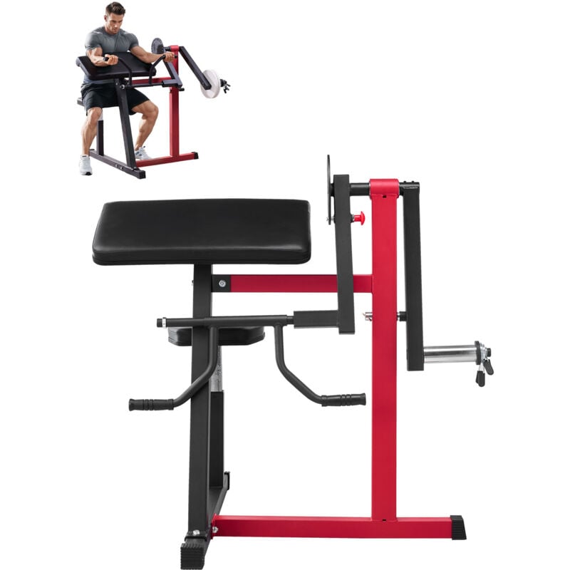 Mophorn 2-in-1 Preacher Curl Maschine, Bizeps-Curl- und Trizeps-Extensionsstation, Armisolation im Sitzen, Krafttrainingsbank für das