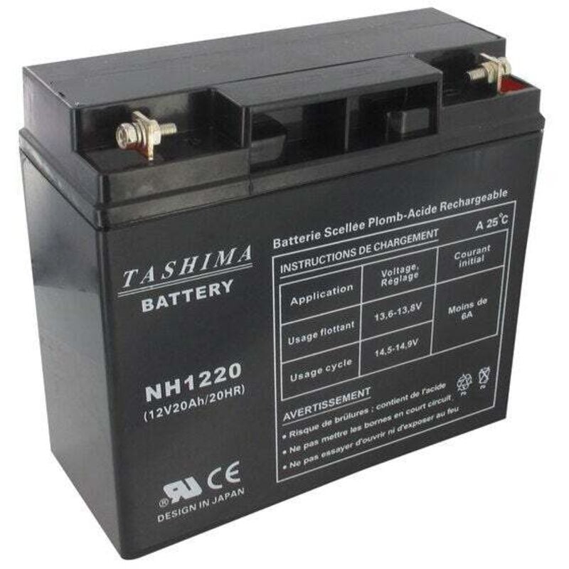 100 % versiegelte Gel-/AGM-Batterie für Aufsitzmäher mit 12 V und 20 A TASHIMA
