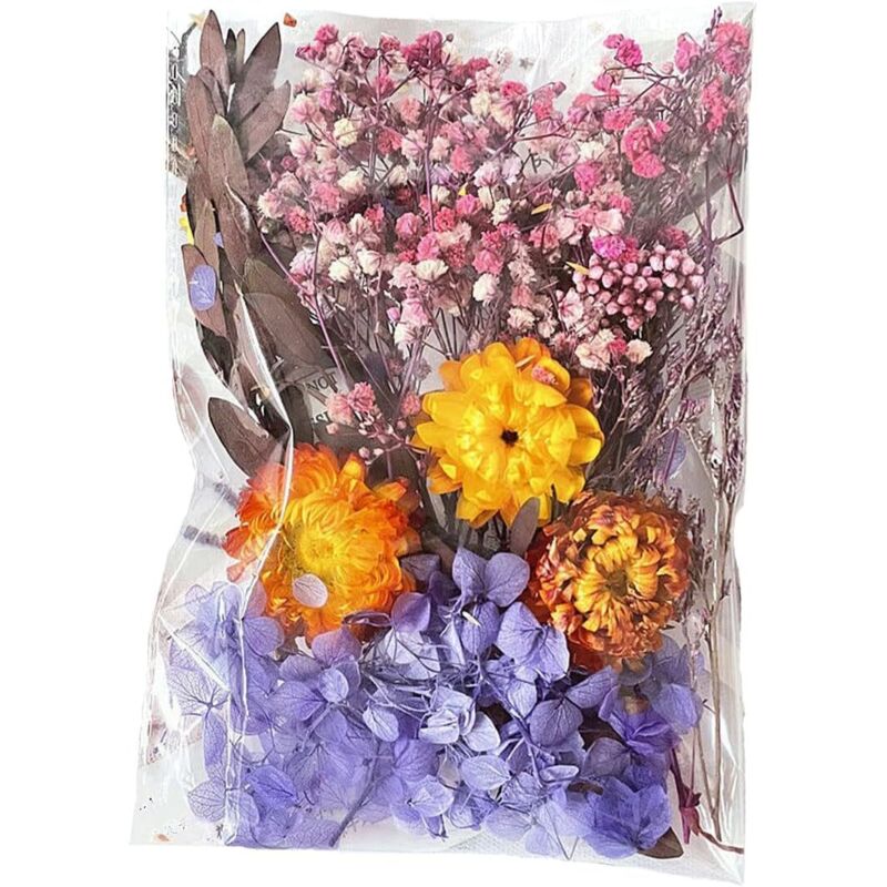 Natürliche, getrocknete lila Blüten, zum Scrapbooking, für Kerzen, DIY-Projekte, Epoxidharz und florale Bastelarbeiten