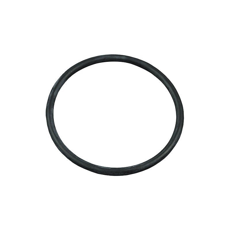 O-Ring für den Diffusor der Astralpool-Poolpumpe.