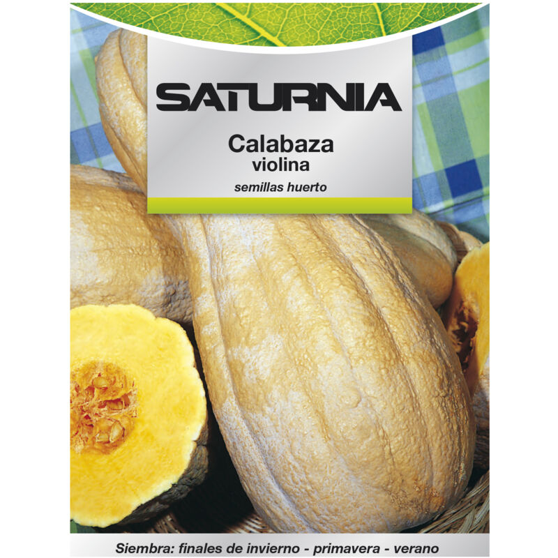 Violina-Kürbis-Samen