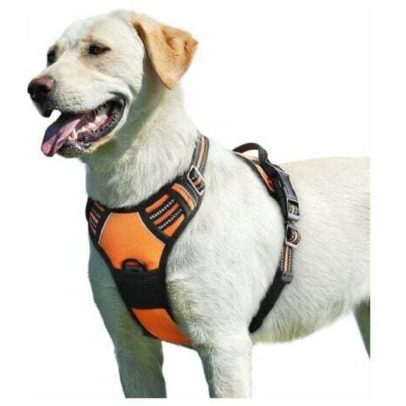 Orange, Hunde Geschirr, Anti-Zug Hunde Geschirr Reflektierend Verstellbar, Einfach Anzuziehen, mit Kontrollgriff, Atmungsaktives Hunde Arnet,