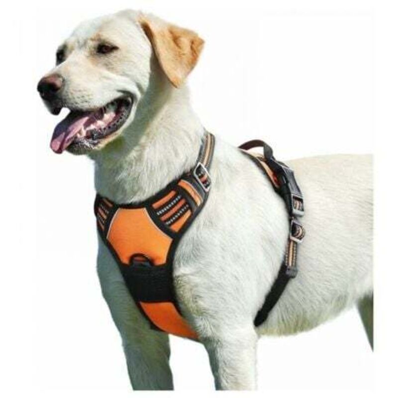 Orange, Hunde Geschirr, Anti-Zug-Hundegeschirr Verstellbar Reflektierend, Einfach Anzuziehen, mit Kontrollgriff, Atmungsaktives Hundegeschirr,